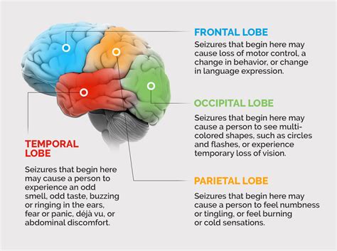 lobe epilepsy|frontal vs temporal lobe epilepsy.